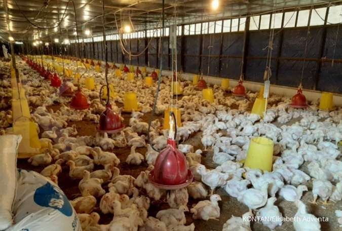 Bedah Laporan Keuangan JPFA